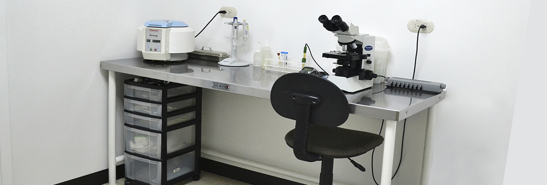Laboratorio de andrología