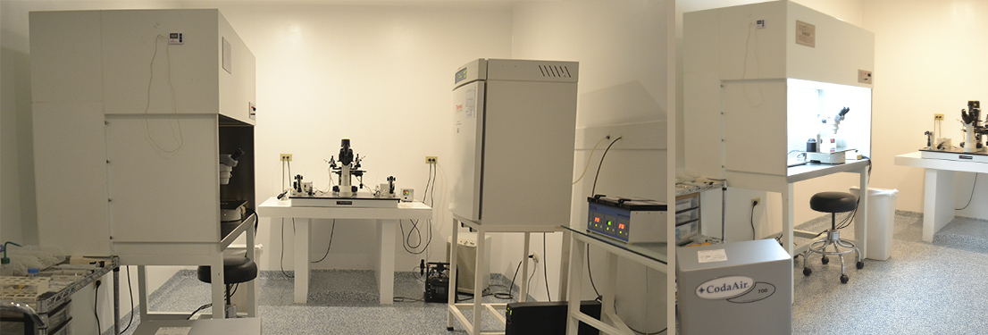 Laboratorio de embriología